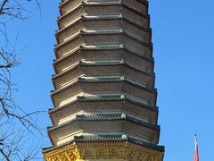 景点-八大处公园