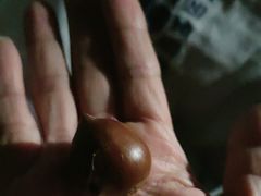 -杨记板栗(天虹总店)