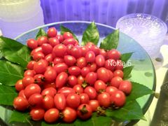 -王家渡火锅店(亦庄店)