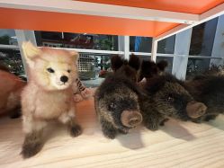 -IMON·HANSA潮玩玩偶毛绒玩具(通州万象汇店)