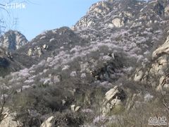 -碓臼峪自然风景区