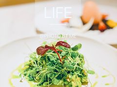 香椿苗拌桃仁-洛缦音乐餐厅(工业展览馆万象城店)