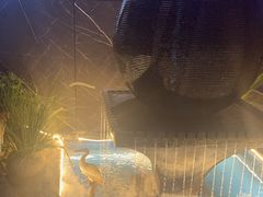 -仟汇足道·SPA(秀洲总店)