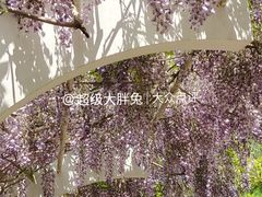 -济南植物园