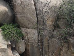 -鲁山国家森林公园