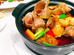 超好味香辣大海螺煲-匠心牛公馆·潮汕牛肉海鲜火锅(索菲特店)