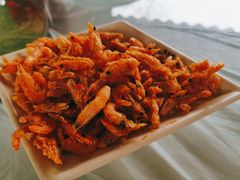 -京北渔家傲