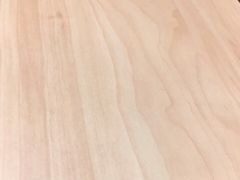 -汉堡王(长沙枫林三路店)