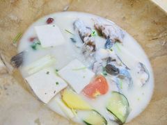 蒸汽石锅鱼-云中鱼蒸汽石锅鱼(浦东食品城店)