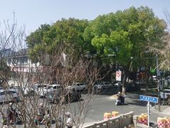 -笃笃笃糖粥(十全街店)