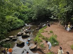 -重庆彩云湖湿地公园