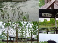 -渤公岛生态公园