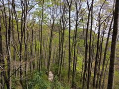 -光雾山旅游景区