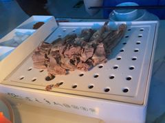 -老毛手抓·盐池滩羊非遗手抓(宁夏总店)