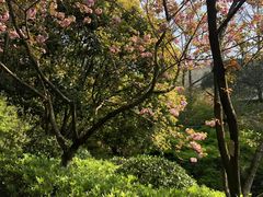 -杭州半山国家森林公园