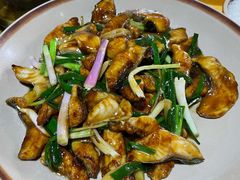 姜葱焖鸭嘴鱼-鲤鱼塘农家山庄