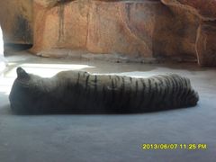 -鄂尔多斯野生动物园