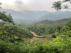 -田心森林公园