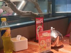 -老板恋上鱼(振华商厦店)