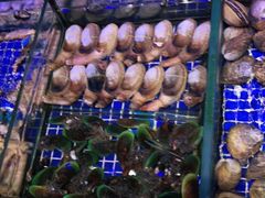 -青蓬蒸汽海鲜·深圳老字号·团建聚会(壹方城店)