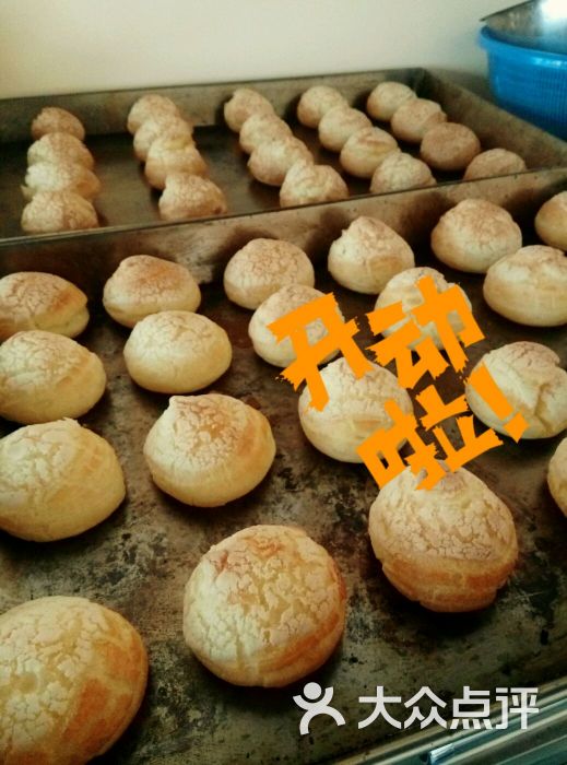 泡芙蜜语-水煮鱼旁的猫的相册-龙陵县美食-大众点评网