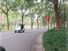 -东方绿舟景区