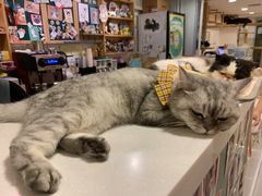 -10 corso como (江南店)