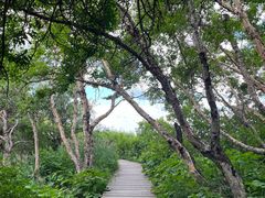 -白草畔自然风景区