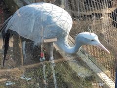-无锡动物园·太湖欢乐园