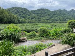 -中国茶叶博物馆(双峰馆区)