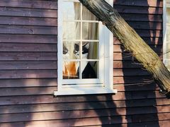 -三鹰之森吉卜力美术馆