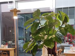 -老碗会·陕西手工面(创智云城店)