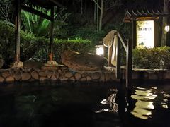 -明月山天沐温泉度假村