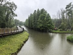 -小六农家乐(崇明西沙湿地店)