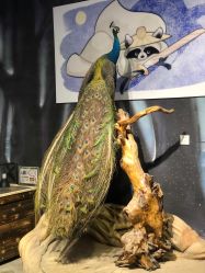 -酷嗒动物文化乐园(cutezoo西溪乐天城店)