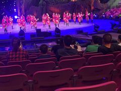 -广州长隆国际大马戏