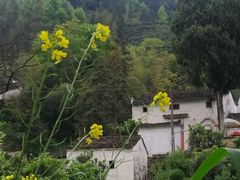 -新安江山水画廊风景区