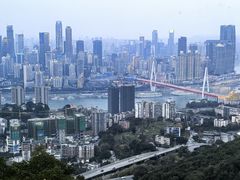 -南山植物园