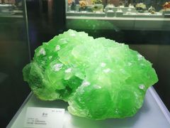 -湖南省地质博物馆