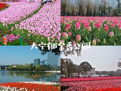-上海辰山植物园