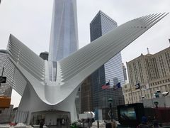 景点-世界贸易中心一号大楼