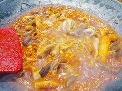 八爪鱼微辣-红辣椒八爪鱼特色韩国料理