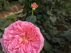 -人民公园(罗湖区)