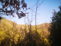 -北京十三陵国家森林公园蟒山景区
