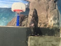 -常州海昌海洋探索馆