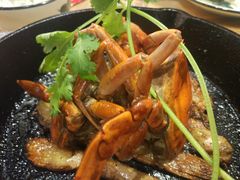 -鑫阿强海鲜大排档·老厦门特色菜(中山路店)