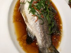 清蒸鲈鱼-泰华海鲜中餐厅(普吉镇店)