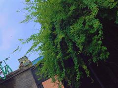 -出走咖啡·面包(宋庄店)
