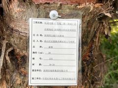 -深圳湾公园(南山区)