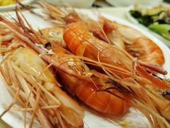 -碧中海汤泉汗蒸酒店